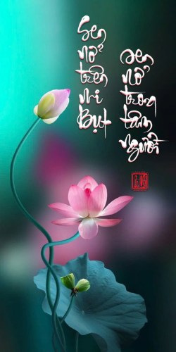 Bộ Thiền Ngữ 81 Câu (81 thẻ) - Ảnh 4